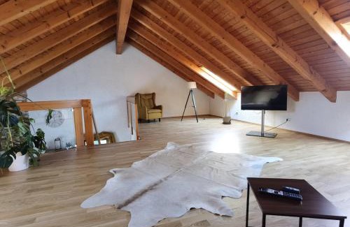 Scheuring Apartamento | Charming loft apartment with fireplace