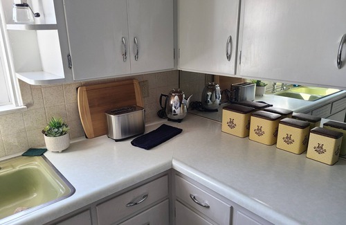 Mount Pleasant Casa | Charming Modern 1950s Mid-Century Ranch.