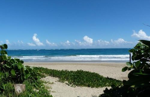 Cabarete Villa | Charming ocean front 3 bd villa