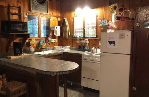 New Braunfels Cabina | Charming River Cabin WITH RV