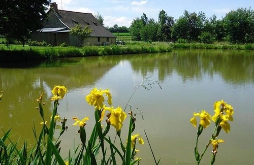 Ruille-le-Gravelais Cabaña | Casa rural para 6 personas con estanque de pesca y jardín privado en Loiron-Ruillé