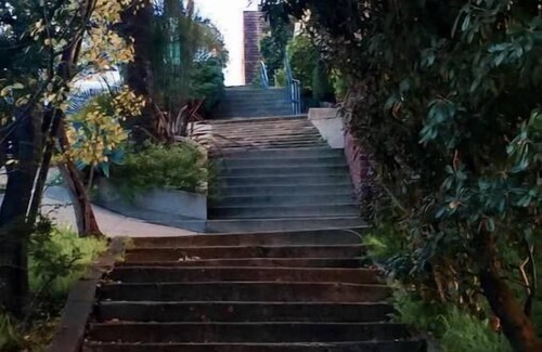 Russian Hill Apartamento | Charming Russian Hill Junior 1BR Basement Apt