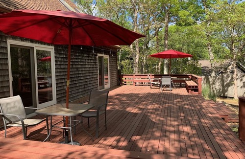 Vineyard Haven Casa | Charming salt box in quiet woodsy neighborhood - centrally located!