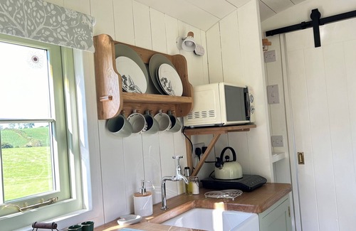 Chittlehampton Cabina | Charming shepherds hut with hottub