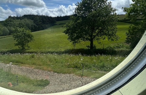 Chittlehampton Cabina | Charming Shepherds hut With Hottub