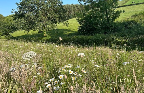 Chittlehampton Cabina | Charming Shepherds hut With Hottub