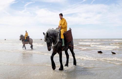Koksijde Chalet De Esquí | Charming Stay by the Dunes, cleaning included