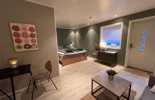 Bodo Apartamento | Charming Studio - Free parking - Close to harbour