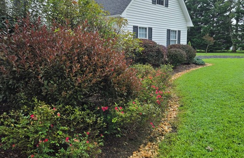 Andersonville Apartamento | Charming studio in welcoming Dillwyn, near Farmville