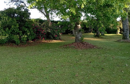 Leon Apartamento | Charming T1 in large Landes house, near lake and ocean, pets welcome