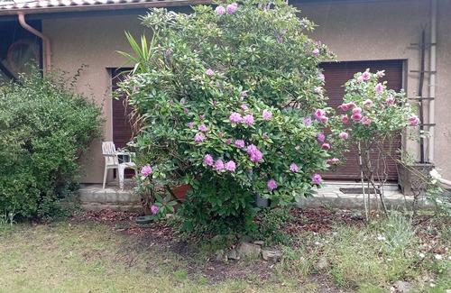 Leon Apartamento | Charming T1 in large Landes house, near lake and ocean, pets welcome
