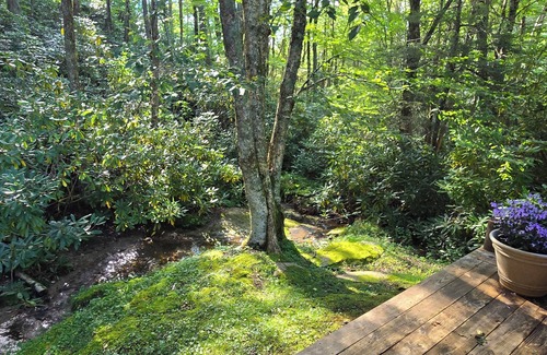 Panorama Estates Cabina | Charming Tiny Cabin