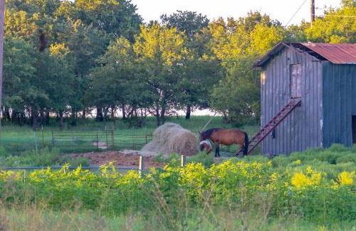 Nocona Casa | Charmingrusticcabinfarmpet Friendlyaffordable