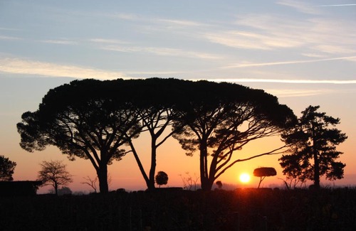 Moulis-en-Medoc Cama Y Desayuno | CHASSE-SPLEEN Les Chambres