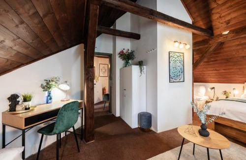Vitkovice Chalet De Esquí | Chata Alpina Horní Mísečky