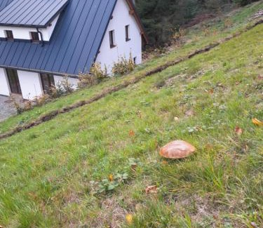 Destne Villa | Chata AmBach