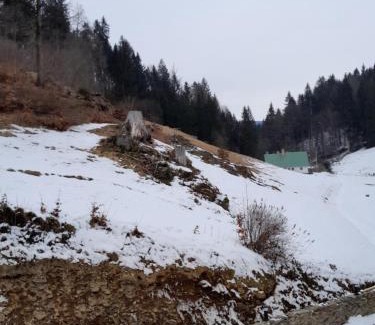 Destne Villa | Chata AmBach