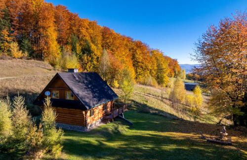 Piwniczna-Zdroj Chalet De Esquí | Chata na Kowalówkach - domek w górach Piwniczna Zdrój