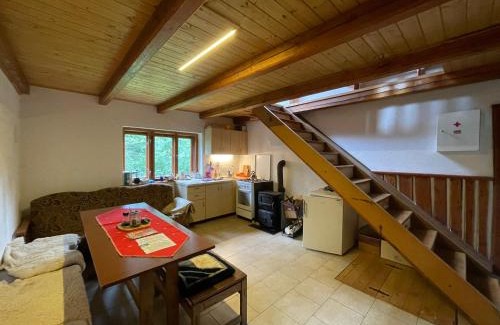 Dolni Laz Apartamento | Chata pod Javořicí