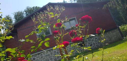 Radvanovice Apartamento | Chata SPOLUNAKOLE - Český ráj