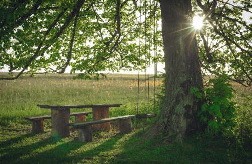 Szczytna Casa | Chata w Stołowych