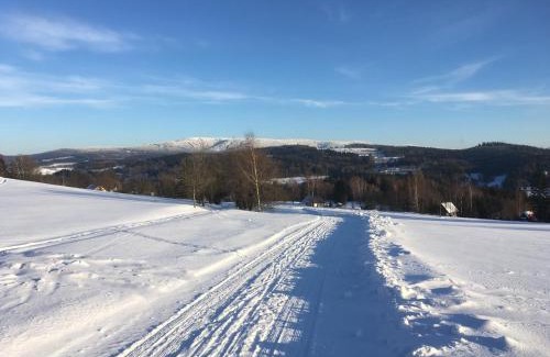 Novy Hradek Apartamento | Chata73