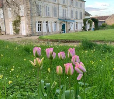 Flagy Cama Y Desayuno | Chateau de Bellefontaine