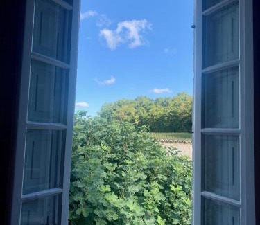 Montignac-Charente Casa | Chateau de Lugérat - 4 chambres - 2 et 3 personnes