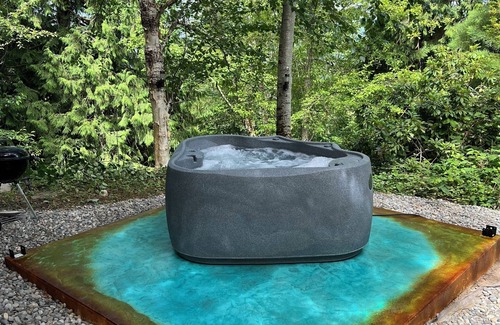 South Hill Apartamento | Chateau du mont Rainier - a basement apartment w a view of Mt Rainier & hot tub
