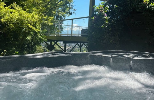 South Hill Apartamento | Chateau du mont Rainier - a basement apartment w a view of Mt Rainier & hot tub