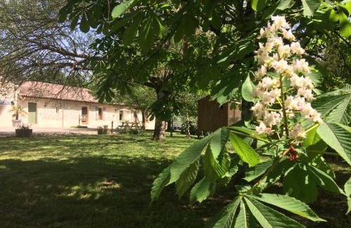 Saint-Estephe Casa | Chateau Haut Baron