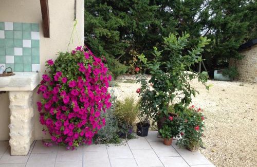 Saint-Estephe Casa | Chateau Haut Baron