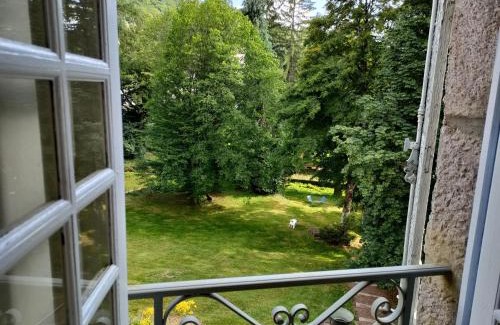 Vic-sur-Cere Casa | Chateau Ol Puech