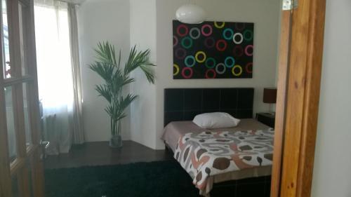 Old Town Apartamento | Cheap And Chic