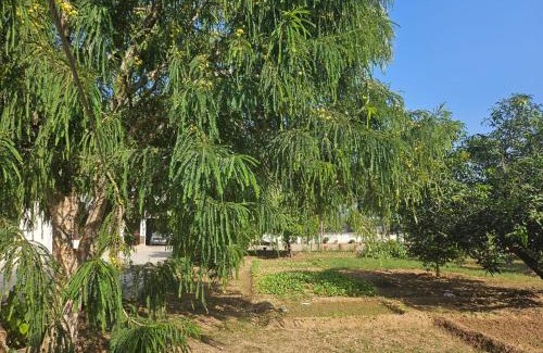 Kishangarh Casa | Cheemas farm stay