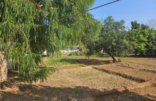 Kishangarh Casa | Cheemas farm stay