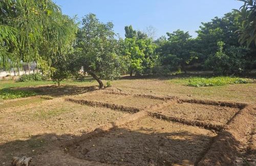Kishangarh Casa | Cheemas farm stay