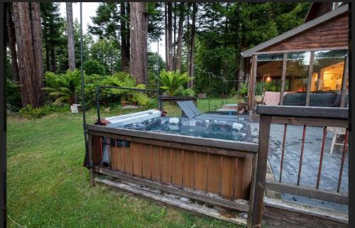 Trinidad Casa | Cheerful 3 bedroom home nestled in the redwoods