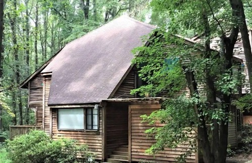 Decatur Cabina | Cheerful cabin, tucked away, for nature lovers.