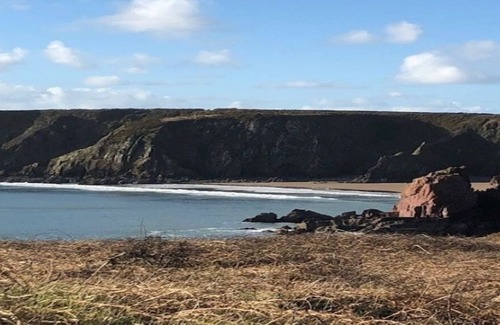 Tenby Cabina | Cheerful Clean One Dog Friendly Cottage Near Coast