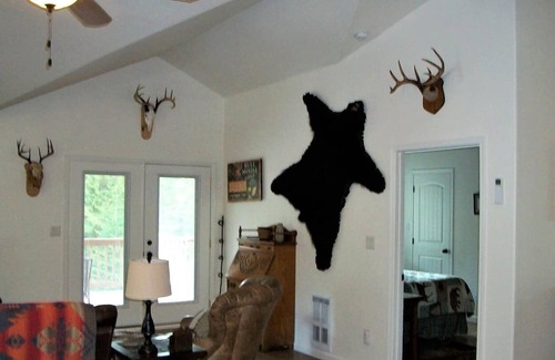 Colville Casa | Cheerful home in a beautiful, tranquil forest.