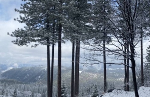 Mi-Wuk Village Cabina | Cheery cabin with AMAZING sunset views located near dining in Twain Harte, CA