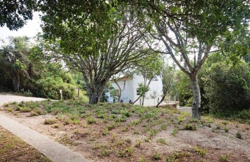 Port Elizabeth Apartamento | Chelsea Manor