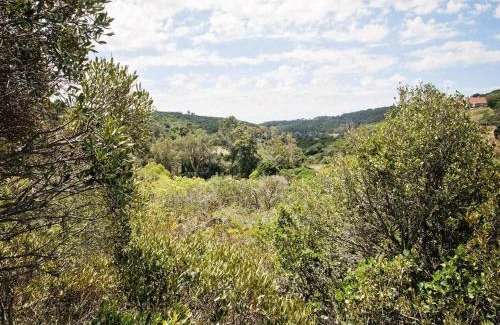 Port Elizabeth Apartamento | Chelsea Manor