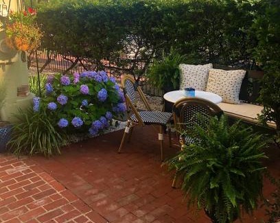 Stanton Park Casa | Cherry Blossom Charm