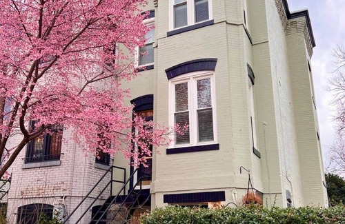 Stanton Park Casa | Cherry Blossom Charm