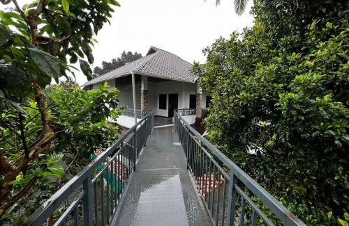 Anachal Casa | Cherry blossom homestays Munnar 2BHK