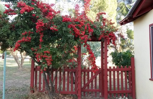 Cherry Valley Cabaña | Casa de huéspedes Cherry Valley