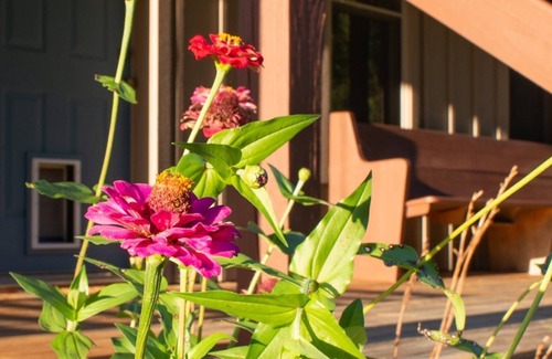 Brevard Casa | Hooper Valley Views son relajantes, duerme 7