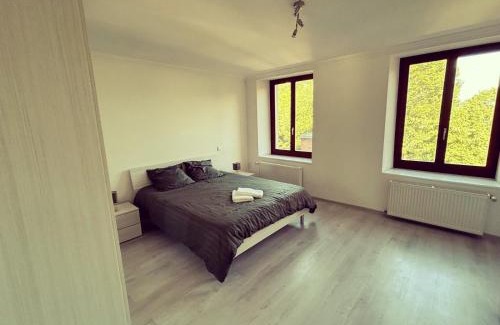 Sainte-Marie-aux-Mines Apartamento | Chez Aurel & Manu